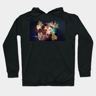 Fantastic space wolf and kittens Hoodie